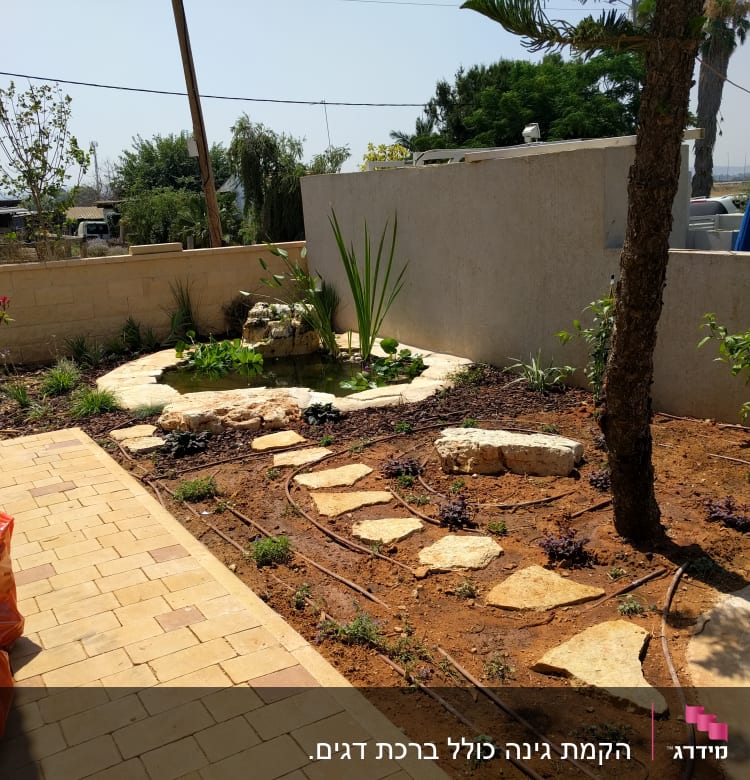 בריכת מים קטנה עם צמחים מסביב בגינה